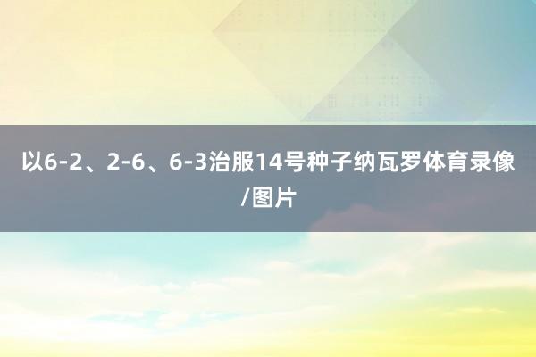 以6-2、2-6、6-3治服14号种子纳瓦罗体育录像/图片