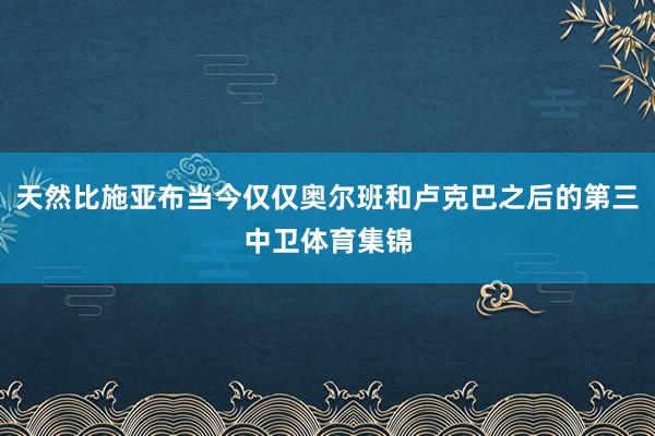 天然比施亚布当今仅仅奥尔班和卢克巴之后的第三中卫体育集锦